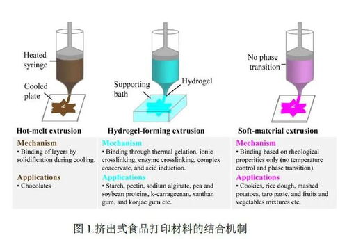 李斌教授團(tuán)隊(duì) 開(kāi)拓植物性材料在3D食品打印技術(shù)中的創(chuàng)新應(yīng)用